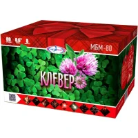 МБМ-80 1