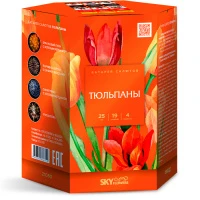 тюльпаны