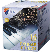 PKU873 1