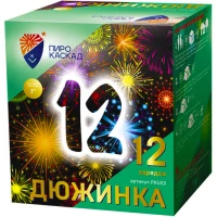 PKU101 1