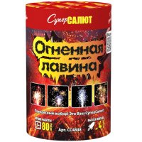 СС4848 1