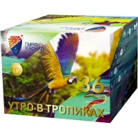 PKU4100 1