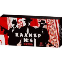 K0204 1