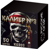 K0203 1