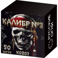 K0203 1